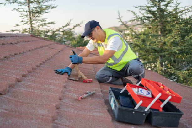 Best Roof Leak Repair  in Presquille, LA