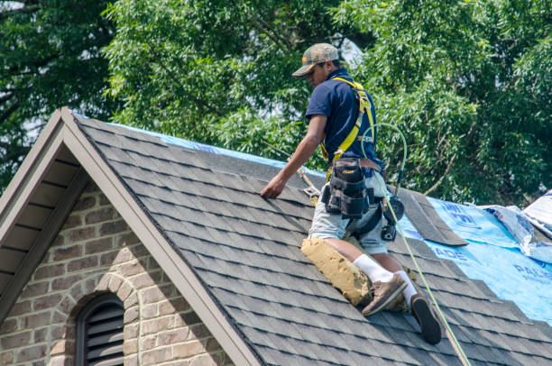 Quick and Trustworthy Emergency Roof Repair Services in Presquille, LA